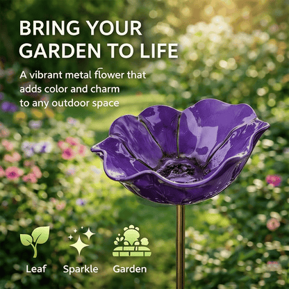 🐦 Mini Bird Bath & Pollinator Water Station - 49% OFF- ✨ Attract Birds & Beneficial Insects