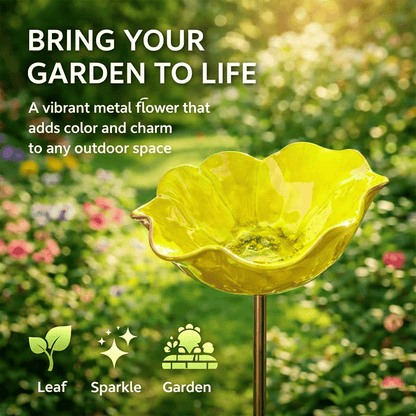 🐦 Mini Bird Bath & Pollinator Water Station - 49% OFF- ✨ Attract Birds & Beneficial Insects