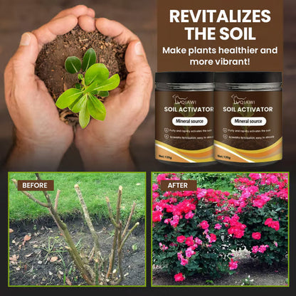 🔥Last Day 70% OFF-🌱Soil Activated Treasure-You Will Be Amazed!