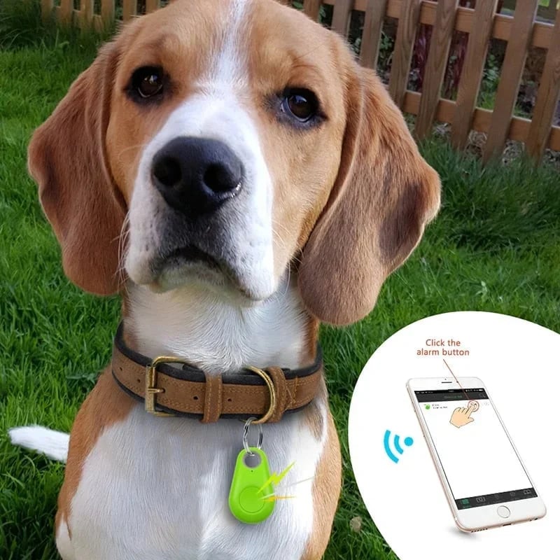 Today's Flash Sale⚡ 50% OFF🔥Intelligent Tracking Locator