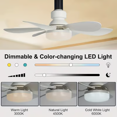 🔥LAST DAY 50% OFF❄️2-in-1 Portable Ceiling Fan & Light With Remote Control💡