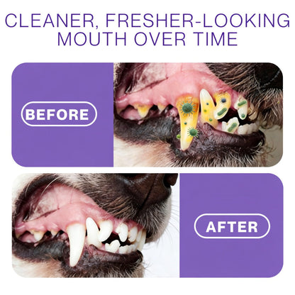 floravyne® Pet Oral Spray ✅ Freshen Breath, Remove Tartar & Promote gum regeneration, stabilize teeth 🦷-$AC