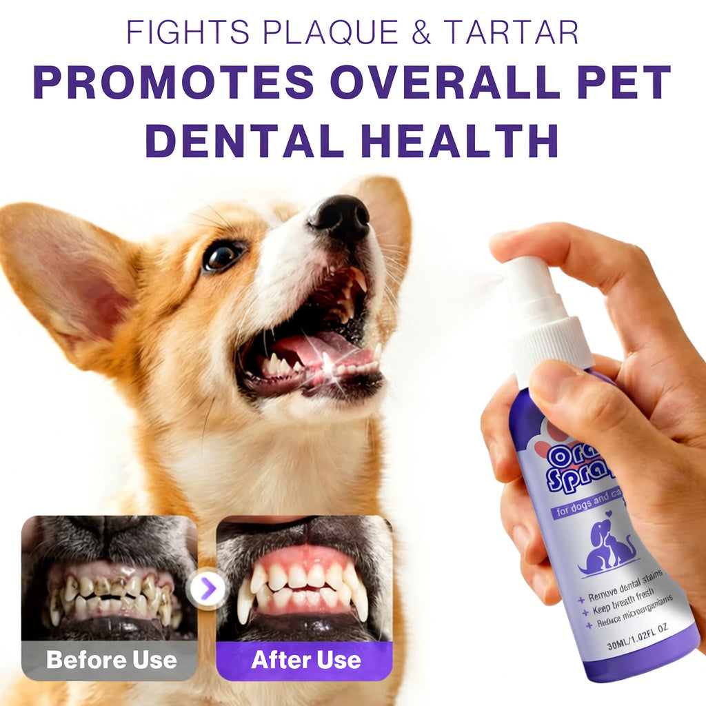 floravyne® Pet Oral Spray ✅ Freshen Breath, Remove Tartar & Promote gum regeneration, stabilize teeth 🦷-$AC