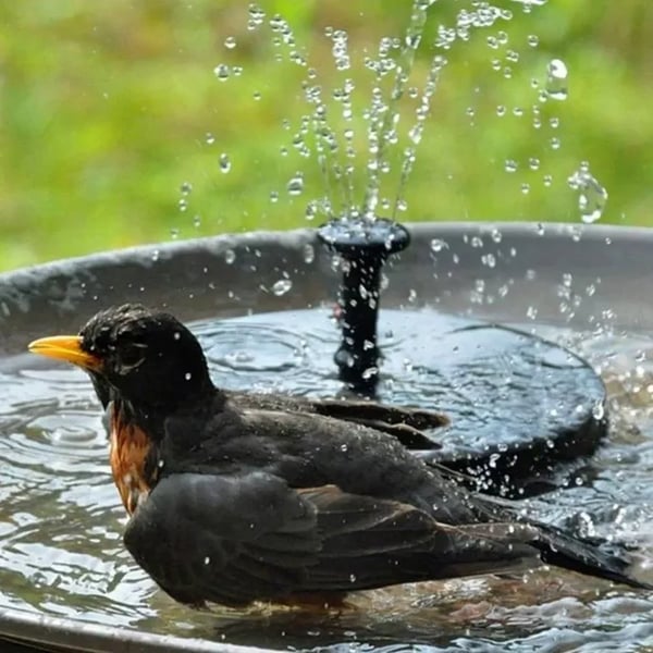 🎁☀️Solar Fountain Pump